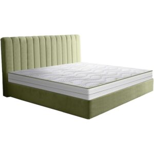 Aloe Vera Dual Confort Green Future